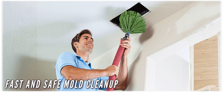 Air Duct Mold Removal in Humble TX