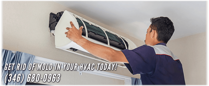 HVAC Mold Removal Humble TX